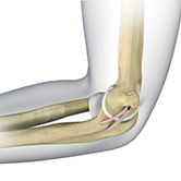 Elbow Ligament Reconstruction Image