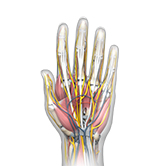 Intricate Hand and Microscopic Surgery Image