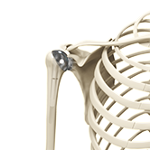 Minimally Invasive Shoulder Joint Replacement