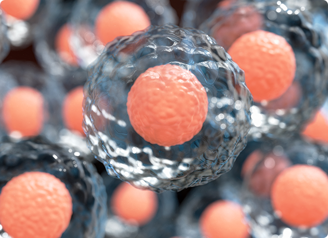 Orthobiologics - Educational Picture