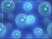 Stem Cell Therapy